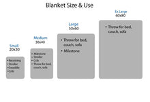 Load image into Gallery viewer, Baby Girl Floral Minky Personalized Name Blanket