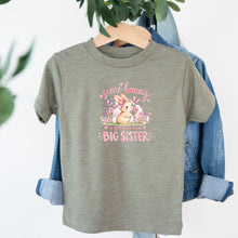 Load image into Gallery viewer, Big Sister Some Bunny Pink design on sage kids t-shirt
